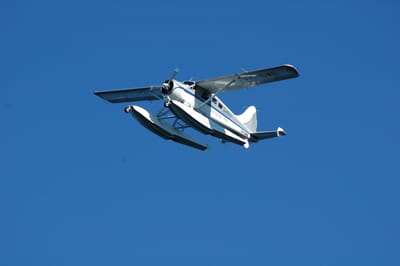 DSC_3652.JPG