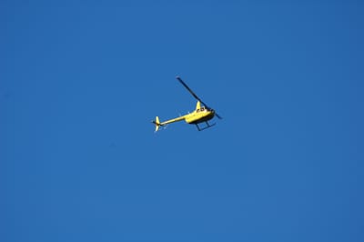 DSC_3673.JPG