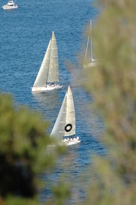 DSC_3679.JPG