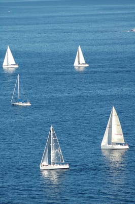 DSC_3687.JPG