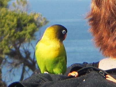 IMGP0585.JPG