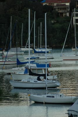 DSC_3164.JPG