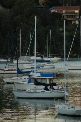 DSC_3166.JPG