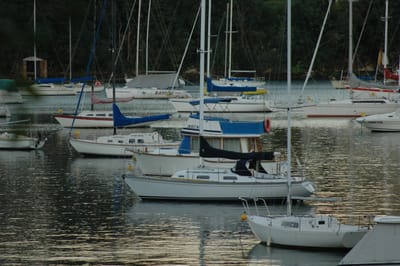 DSC_3171.JPG
