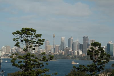 DSC_3240.JPG