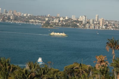 DSC_3242.JPG