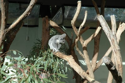 DSC_3244.JPG