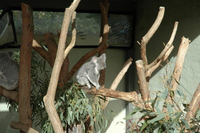 DSC_3245.JPG