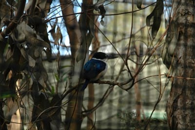 DSC_3250.JPG