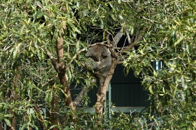 DSC_3251.JPG