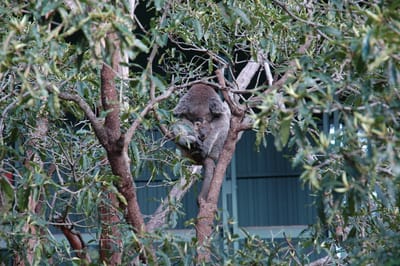 DSC_3252.JPG
