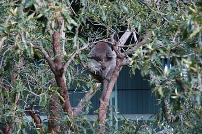 DSC_3253.JPG