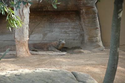 DSC_3256.JPG