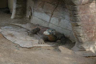 DSC_3257.JPG
