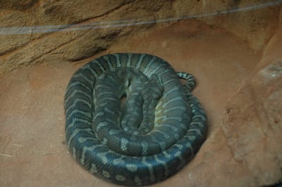 DSC_3263.JPG