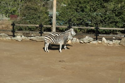 DSC_3267.JPG