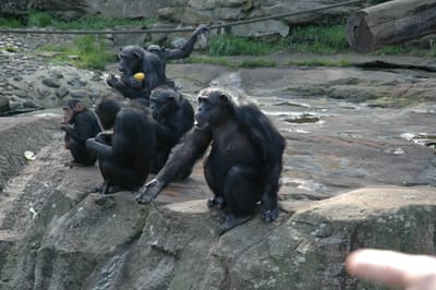 DSC_3272.JPG