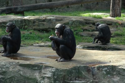 DSC_3273.JPG