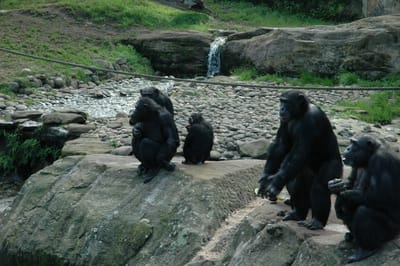 DSC_3274.JPG