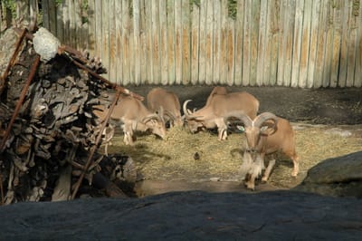 DSC_3276.JPG