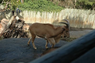 DSC_3277.JPG