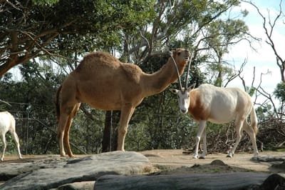 DSC_3278.JPG