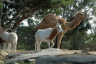 DSC_3279.JPG