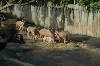 DSC_3280.JPG