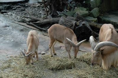 DSC_3281.JPG
