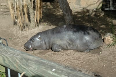 DSC_3288.JPG