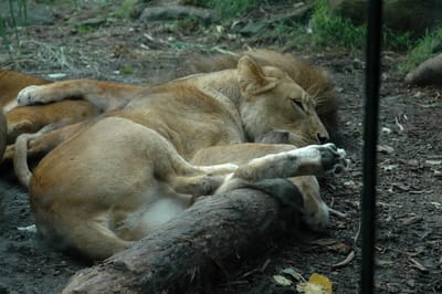DSC_3294.JPG