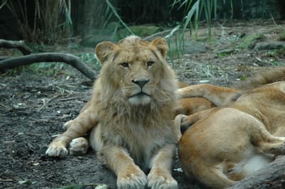 DSC_3297.JPG