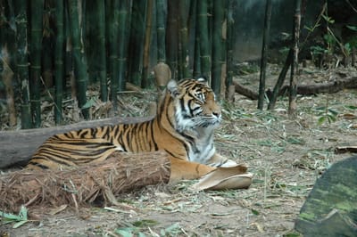 DSC_3298.JPG