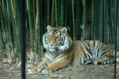 DSC_3302.JPG