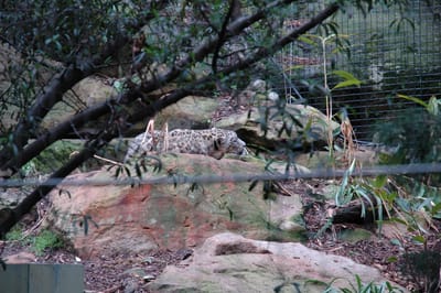 DSC_3306.JPG