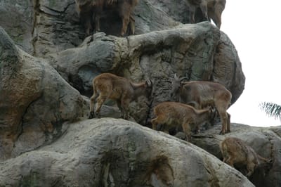 DSC_3308.JPG