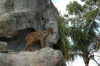 DSC_3309.JPG