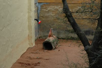 DSC_3312.JPG