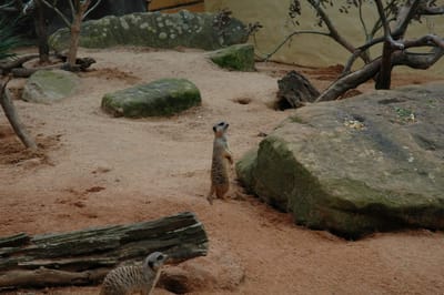 DSC_3313.JPG