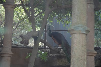 DSC_3322.JPG