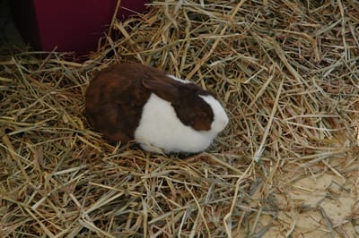 DSC_3328.JPG