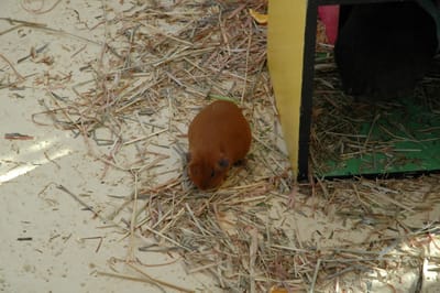 DSC_3329.JPG