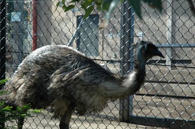 DSC_3341.JPG
