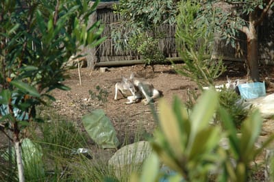 DSC_3343.JPG