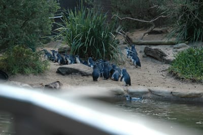 DSC_3345.JPG