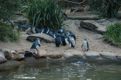 DSC_3346.JPG