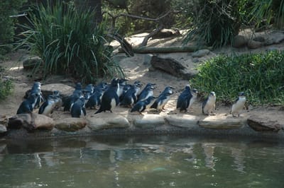 DSC_3349.JPG