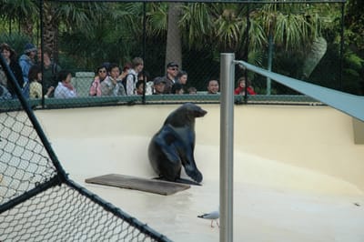 DSC_3355.JPG