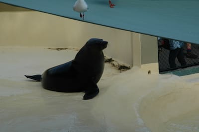 DSC_3356.JPG