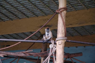 DSC_3358.JPG